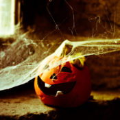 A Jack-O'-Lantern covered with cobwebs.