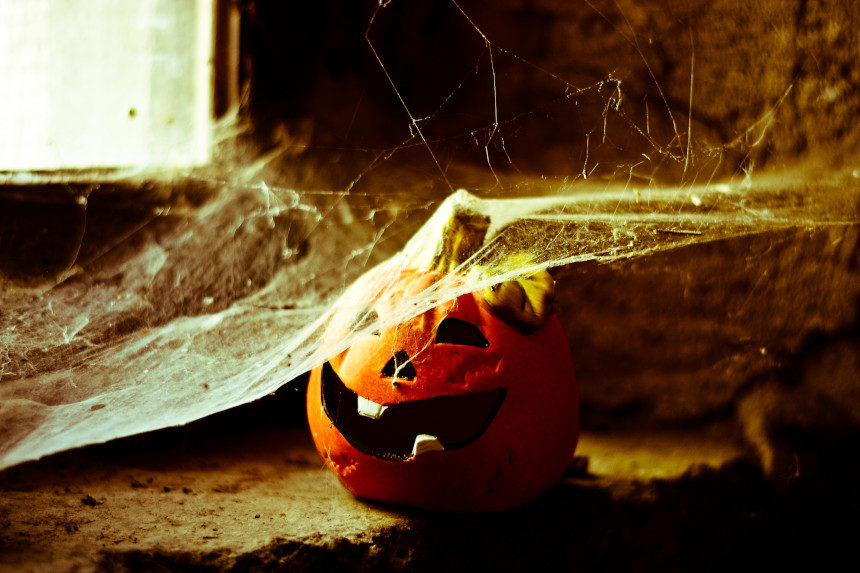 A Jack-O'-Lantern covered with cobwebs.