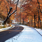 Snowfall on an autumn road