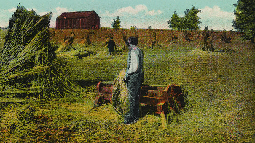 Illustration of a farmer in a hemp field