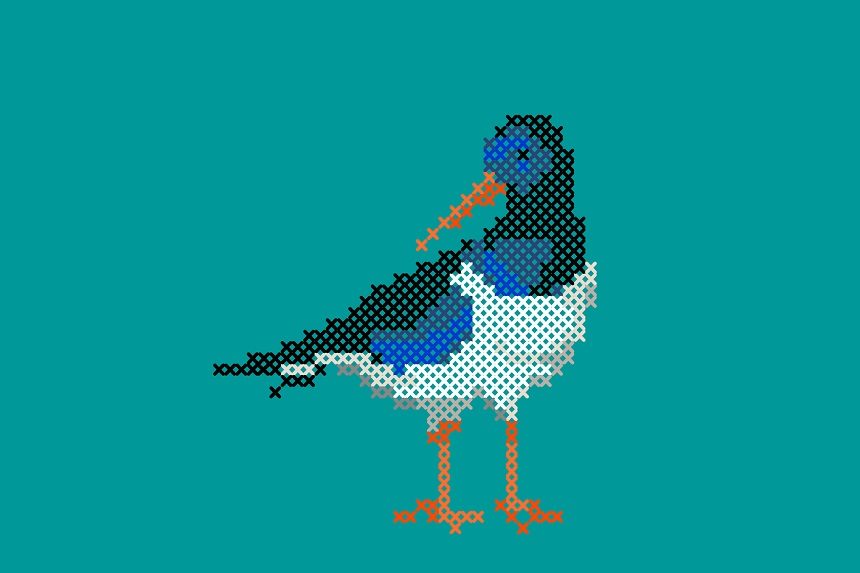 A bird