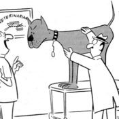 A vet and a dog owner trying to give a very large and grumpy dog a shot