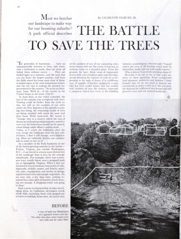 The first page of the Post article, The Battle to Save the Trees
