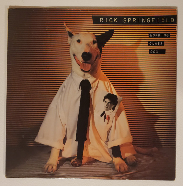 A photo of the cover to Rick Springfield's album, Working Class Dog