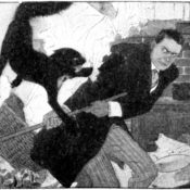 Man attempting - and failing - to swat a cat with a broom.