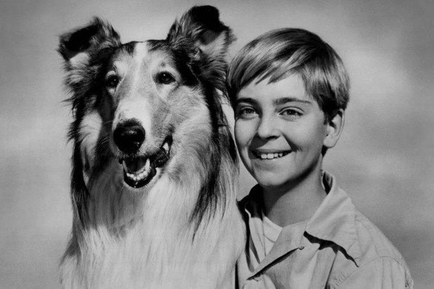 Tommy Rettig and Lassie