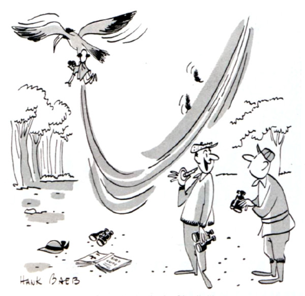 A large hawk hoists a man up with his talons after a bird watcher calls the bird..