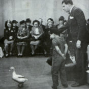 A young boy and a television host stare at a duck during a live studio recording.