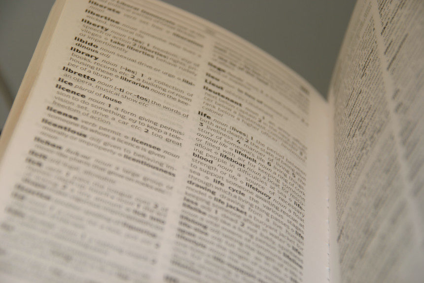 Photo of an open dictionary.