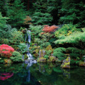 Photo of Portland's Japanese Gardens