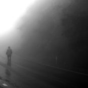 Man Walks Down a Foggy Road
