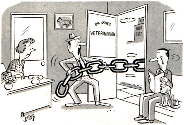 Man pulls in giant chain into a vet's office. It's possible there's a giant dog attached to it.