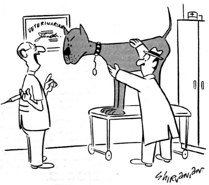 Vet realizes that the angry dog does not want a shot, so he offers to switch places with the dog's owner.
