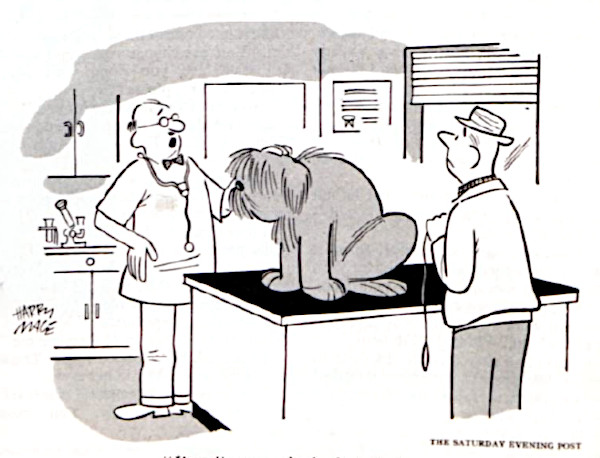 Man brings dog into vet, worrying that he is listless. The problem is the dog is actually asleep.