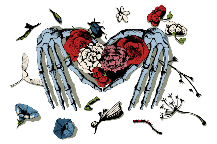 A pair of skeletal hands holding a rose bouquet