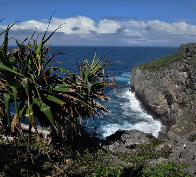 An island coast