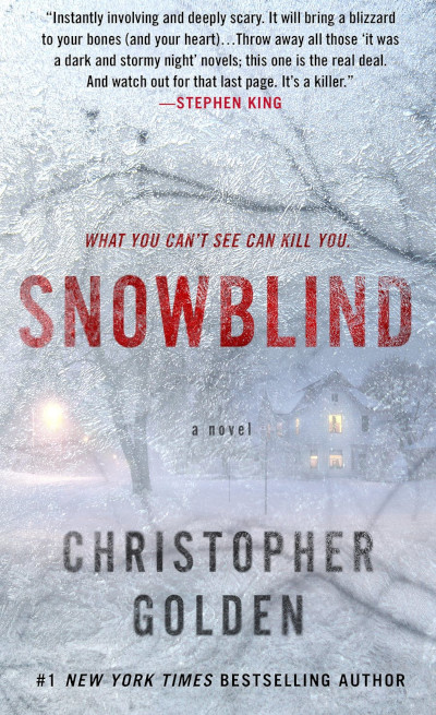Cover for the book Snowblind