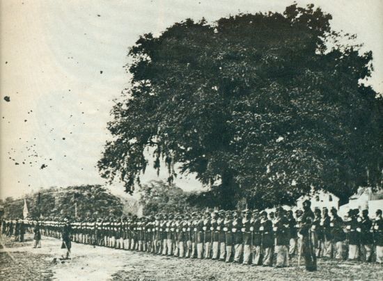 Photo of the First Carolina Volunteer Infantry during the Civil War, in 1863