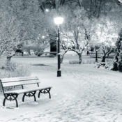 A snow-covered city park at night