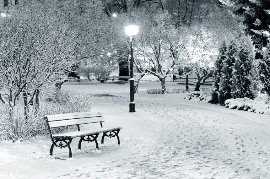 A snow-covered city park at night