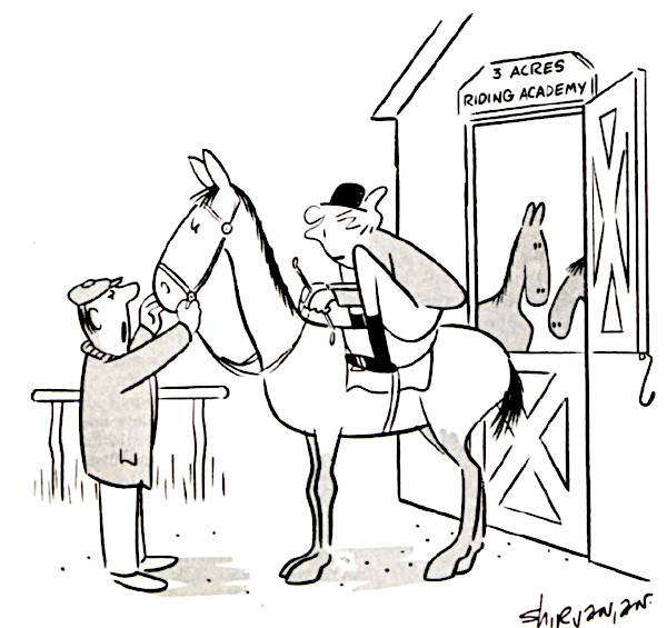 Horseback riding cartoon