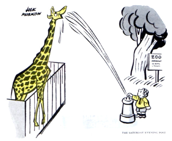 Child uses a fire hydrant to water a giraffe