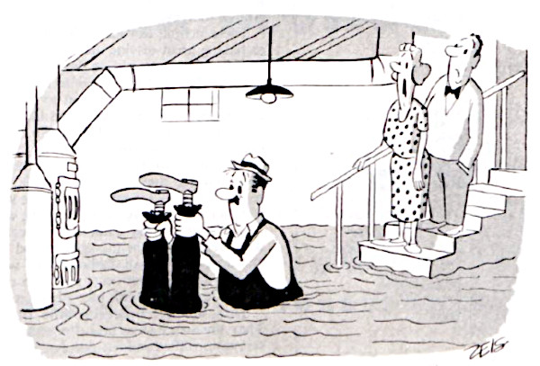 plumbing cartoon