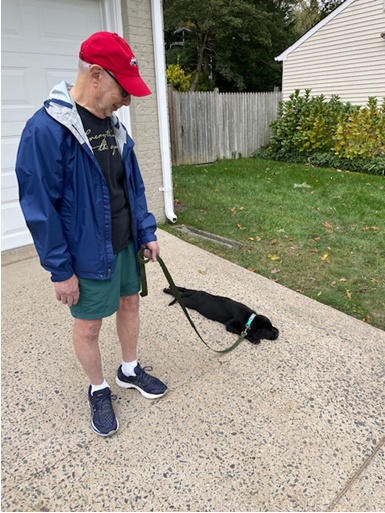 Devra Lee Fishman's husband trying to train their new puppy, Lester, on a leash.