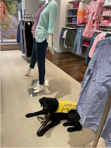 The Fishmans' new puppy in a clothing boutique