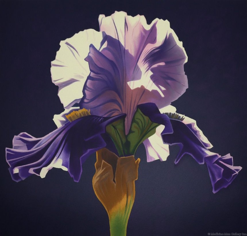 Flower artwork by Ed Mell