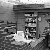 Woman building a bomb shelter in her basement