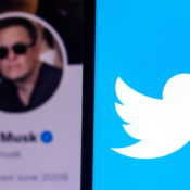 Elon Musk's twitter profile and the Twitter logo