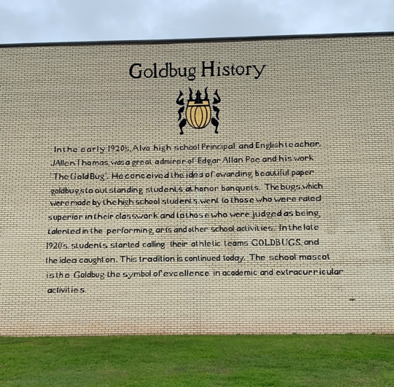 The GoldBugs logo and story