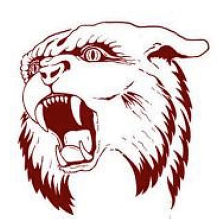 The Wampus Cats Mascot logo