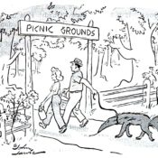 Couple take their pet anteater to the picnic grounds so it can suck up the ants as they try to eat.