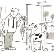 Dog chewed up newspaper