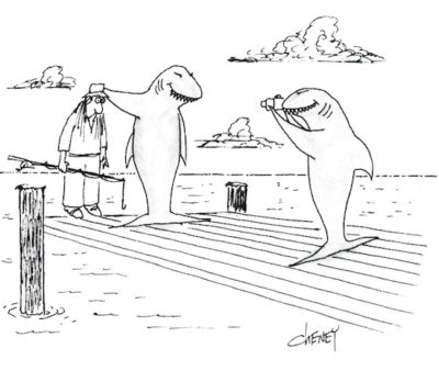 A shark on a fishing dock proudly displays his catch to his buddy: A confused fisherman. The shark friend takes a picture.