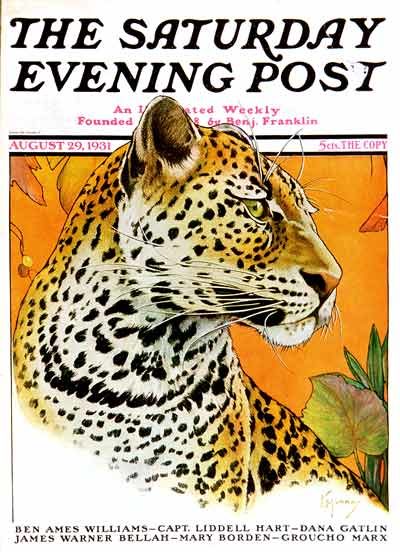 Leopard by Jack Murray from August 29, 1931