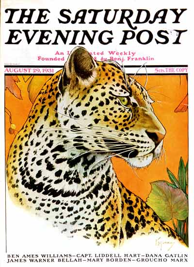 Leopard by Jack Murray from August 29, 1931