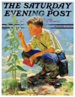 A boy examining a plant for his botany project.