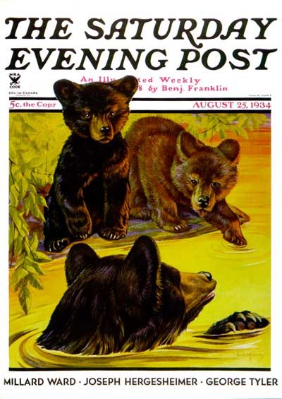 Bear Cubs in River by Jack Murray from August 25, 1934