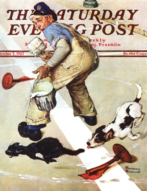 Dog chases cat over line painted by street worker