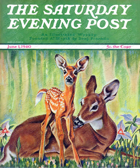 A doe and fawn together in the grass.