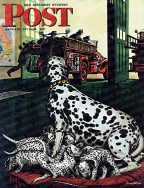 Dalmatian with puppies, fire truck leaving