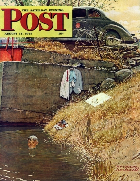 Businessman takes dip in water, car and clothes on bank