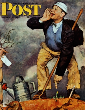 Garden announces first spring Crocus