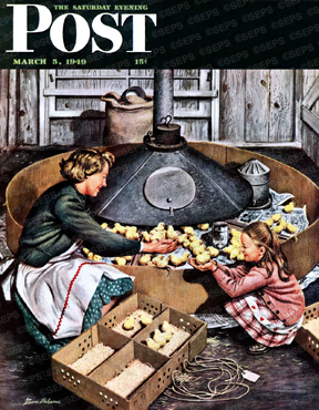 Farm family watching chicks in incubator