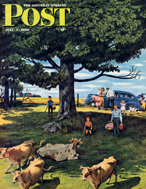 Cows in family's picnic area