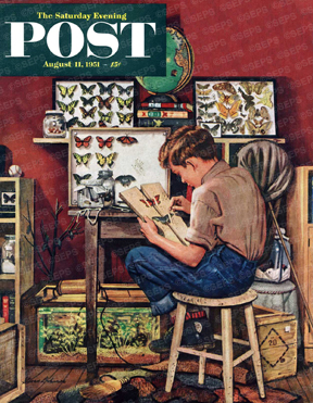 Boy collecting butterflies