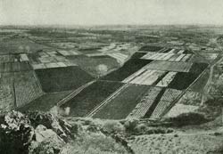 A reclamation success: "Part of Salt River Valley, in Arizona, once barren and worthless, now intensively productive under the Roosevelt Reclamation System